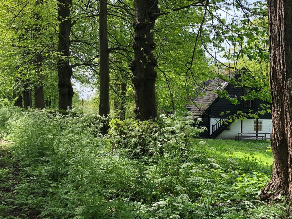 Het Wagenhuis Loon op Zand المظهر الخارجي الصورة
